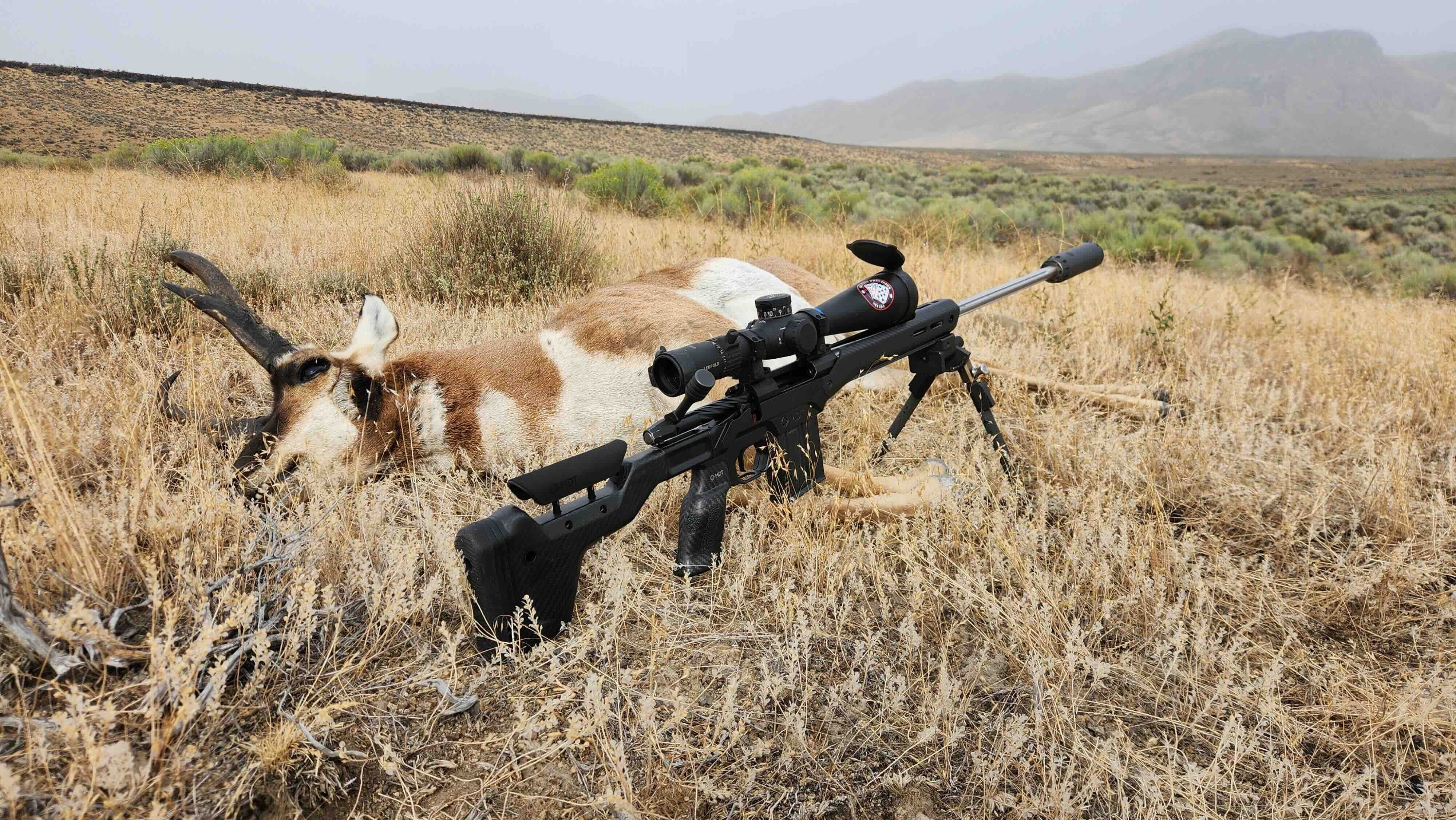 TIPS FOR A SUCCESSFUL ANTELOPE HUNT