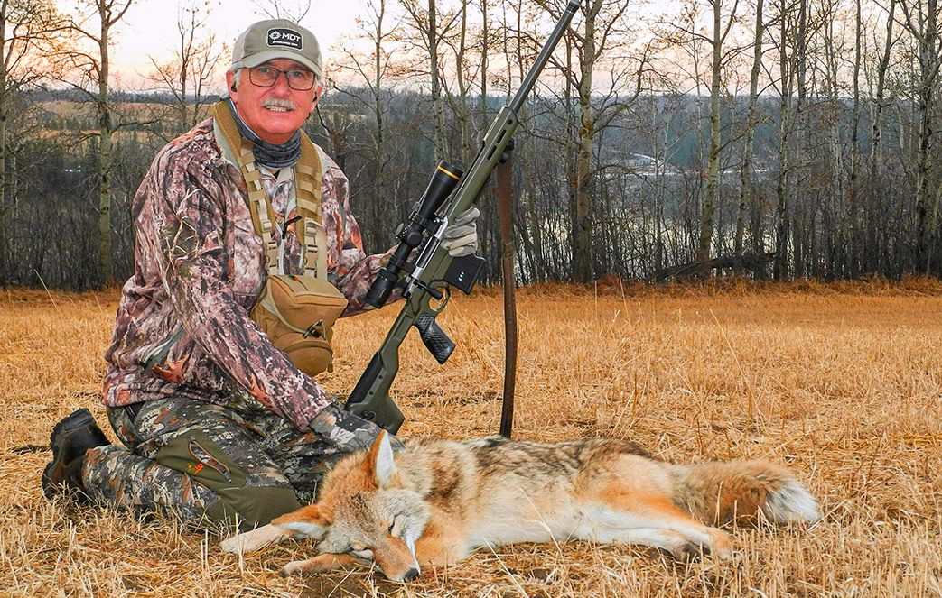 6GT For Predator Hunting
