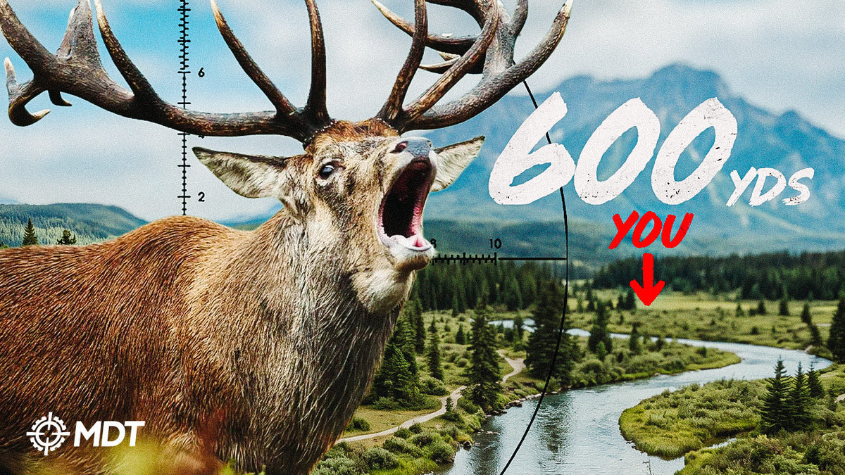 5 Factors To Taking An Ethical Long Range Shot