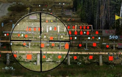 THE REALITIES OF SCOPE CAMERAS