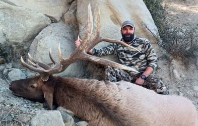 PERFECTING THE BACKCOUNTRY GUTLESS METHOD ON ELK